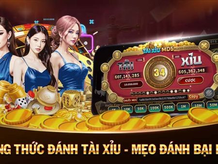 KC6-Sống động và hấp dẫn： Casino trực tuyến!