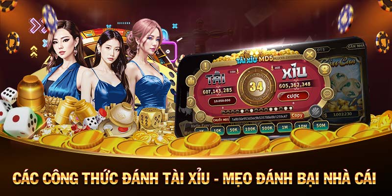 KC6-Sống động và hấp dẫn： Casino trực tuyến!